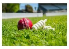 Get Your Online Cricket ID Instantly – Onlinecricketid99