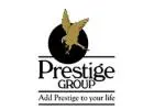 Prestige Evergreen