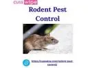Rat And Rodent Control