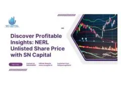 Discover Profitable Insights: NERL Unlisted Share Price with SN Capital