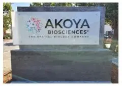 Boost Your Business Visibility with Monument Signs in San Jose