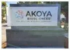 Boost Your Business Visibility with Monument Signs in San Jose