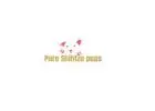 Find Shih Tzu Puppy for Adoption Now at Pure Shih Tzu Pups