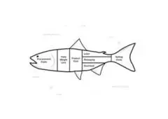 Smarter Seafood Processing Solutions