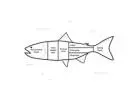 Smarter Seafood Processing Solutions