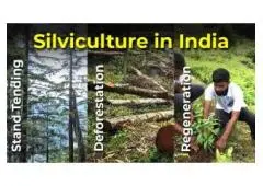 Learn Silviculture, Types, Importance and Scope