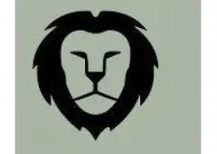 Mane Hair Shampoo