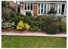 Best Plant Design service in Barkham