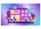 Skyrocket Your Traffic – Follow These SEO Success Stories