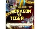 Play Dragon Tiger at Top Casino Site with Your Online Cricket ID