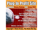 Join our Elite Team UP TO 10K PER MONTH -REMOTE