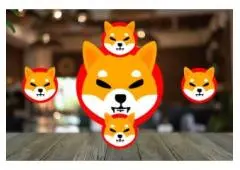 Read Analyst’s Views for Shiba inu Coin Price Prediction