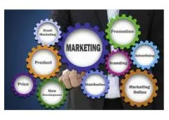 Master Marketing Skills at Invertis University