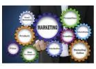 Master Marketing Skills at Invertis University