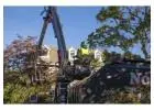 Expert Tree Removal & Care Services in Massachusetts | Northeastern Tree