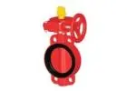 Gear-Operated Grooved Butterfly Valves for Fire Sprinklers