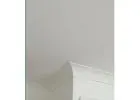 Best Painter in Dulwich