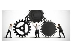 Earn possibly thousands from $10 business