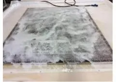 Top-Rated Rug Washing Services in Southeastern Michigan – Restore the Beauty Beneath Your Feet