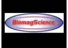 Restore Health Naturally with BiomagScience Magnetic Therapy Magnets