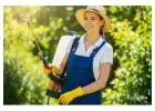 Pest Control Service in Fort Worth Dallas, TX