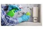 Best Service For End Of Tenancy Cleaning in Daubhill