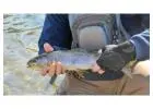 Explore serenity of Star Valley fishing