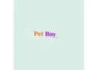 Top Breeds of Dogs for Sale in Gurgaon Today