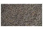 Find Your Trusted Partner with Premium Rapeseed Supplier