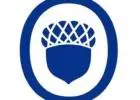 Oaks Property Management: Your Partner in Auckland Property