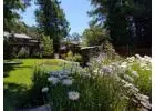 Landscape Contractors Near