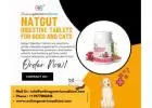 Improve Pet Digestion with Natgut Enzyme Tablets | Buy At Online Generic Medicine