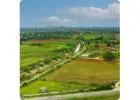 Gated Community Farm land | Gated Farm land near Bangalore | Hosachiguru