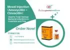 Veterinary Care with Moxel Injection (Amoxycillin Cloxacillin) | Buy At Online Generic Medicine