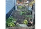 Best Gardening service in Yass