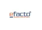 Easy Billing Software for Distributors | Manage Accounts & Stock | Efacto