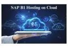 SAP B1 Hosting on Cloud | Secure ERP Hosting Services