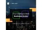 Business Scaler