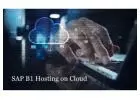 SAP B1 Hosting on Cloud – Secure ERP Hosting Solutions