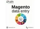 Magento Product Data Entry Services for Busy Sellers