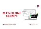 MT5 Clone Script