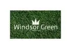 Choose the Windsor Green Couch Turf – Durable Lawn for All Seasons
