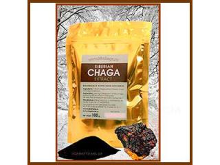 Premium Freeze-Dried Chaga Extract - Bulk & Retail Available Premium Freeze-Dried Chaga Extract - Bulk & Retail Available