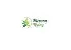 Nirvana Today LLC
