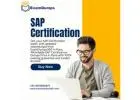 SAP Examdumps in Pune – Real Exam Questions by ExamDumps360