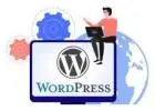 Choose Best Website Development Company in Delhi for Secure Websites