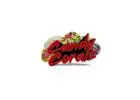 Best Corals in Canada | Premium Selection at Candy Corals