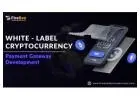 Elevate Your Business with White Label Crypto Payment Gateway Development
