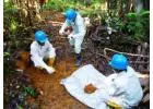 Safe and Modern Gold Extraction Process Solutions