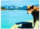 Yukon River Tour: Paddle Historic Waters with Local Guides